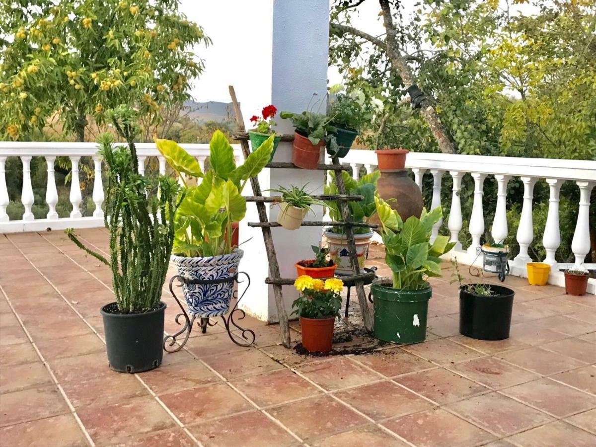 Casa Rural En Constantina Εξωτερικό φωτογραφία