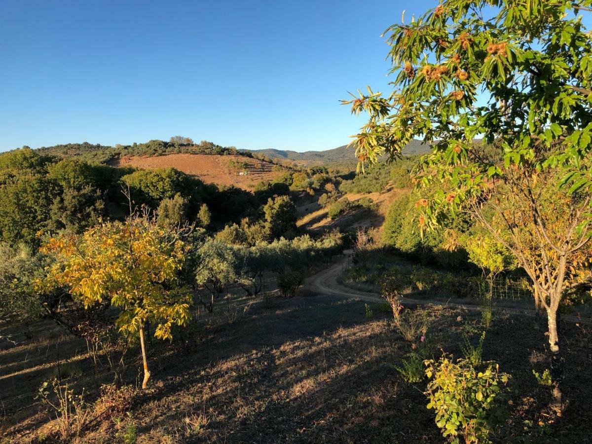 Casa Rural En Constantina Εξωτερικό φωτογραφία